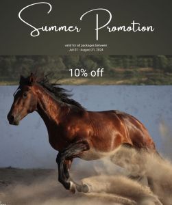 Summer-promotion-2026